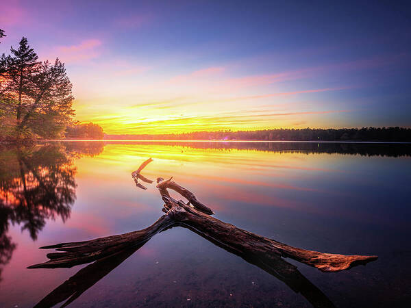 Davis Lake Poster featuring the photograph Driftwood At Sunset Davis Lake Mississippi by Jordan Hill