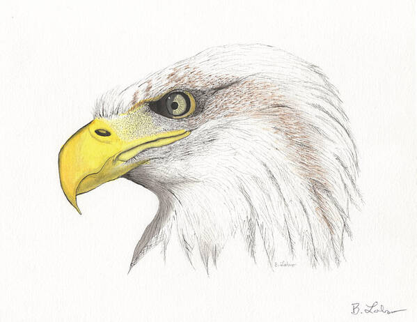 Eagle Watercolor Poster featuring the painting Eagle #1 by Bob Labno