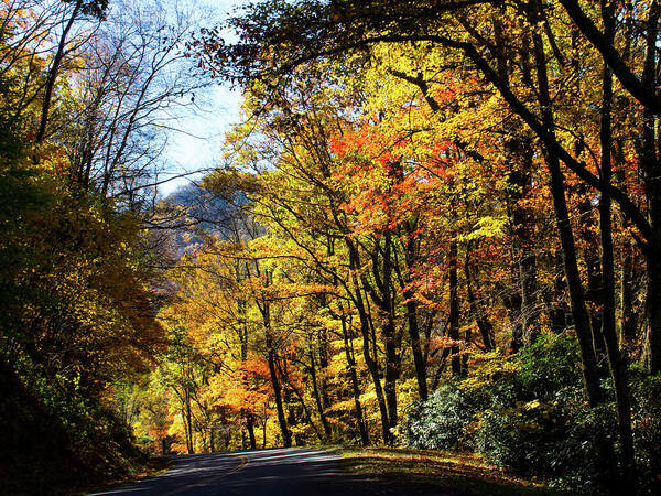 Blue Ridge Parkway Poster featuring the photograph Fall on the Blue Ridge Parkway by Charles Floyd