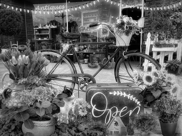 Fence Poster featuring the photograph Flowers and Bike on the Sidewalk Black and White by Debra and Dave Vanderlaan
