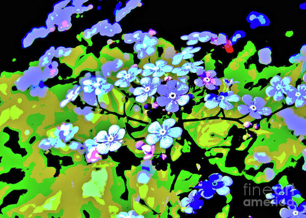 Forget-me-not Poster featuring the digital art Forget Me Not by Mimulux Patricia No