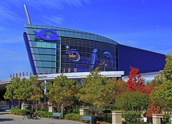 Aquarium Poster featuring the photograph Georgia Aquarium - Atlanta, Georgia by Richard Krebs