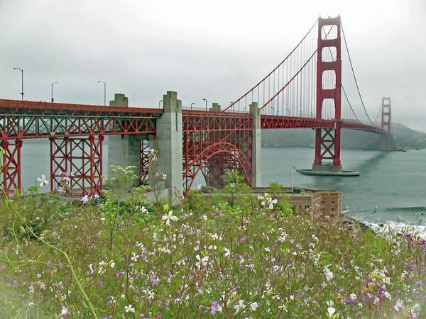 Golden Gate Bridge Poster featuring the photograph Golden Gate Bridge and Summer Flowers by Connie Fox