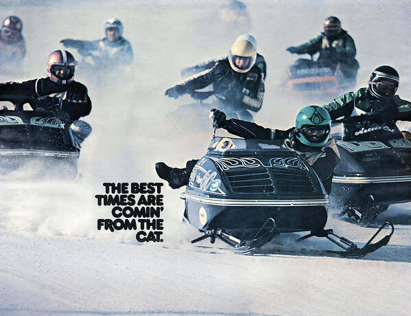Arctic Cat Poster featuring the photograph Best Times Are Comin From The Cat by Everet Regal