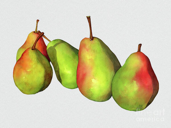 Pear Poster featuring the painting Green Pears - Solid Background by Hailey E Herrera