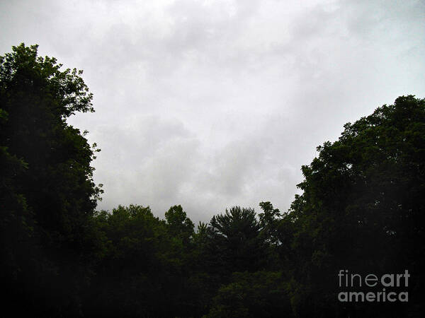 Landscape Poster featuring the photograph Green Tree Line Under The Stormy Clouds by Frank J Casella