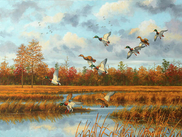 Mallard Paintings Poster featuring the painting Greenheads and Clouds by Guy Crittenden