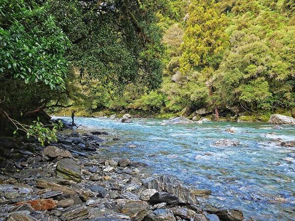 New Zealand Poster featuring the photograph Haast River, South Island, New Zealand by Steven Ralser