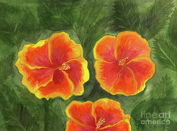 Hibiscus Poster featuring the painting Hibiscus Three by Lisa Neuman