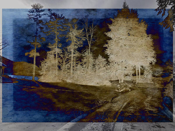 Trees Poster featuring the digital art Highlighted Trees at the Lake by Russel Considine