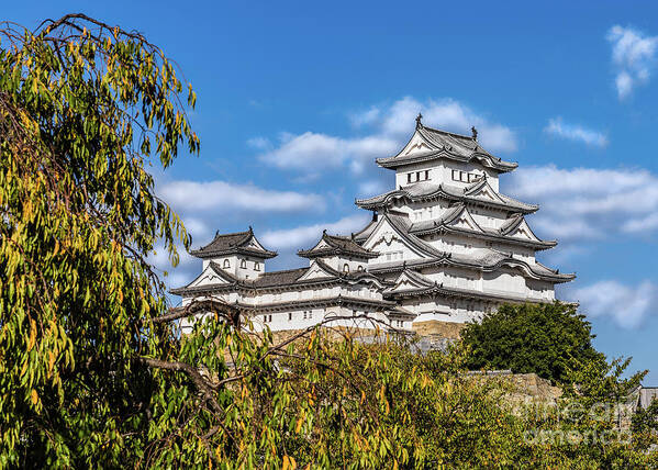 Himeji Castle Poster featuring the photograph Himeji castle #5, Japan by Lyl Dil Creations