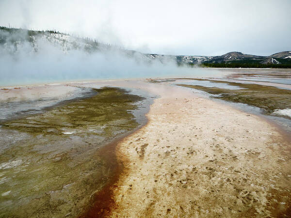 Yellowstone Poster featuring the photograph Hot Springs Channels by Rachel Morrison