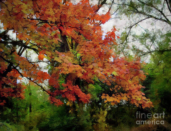 Landscape Poster featuring the photograph Infusion Of Autumn by Cedric Hampton