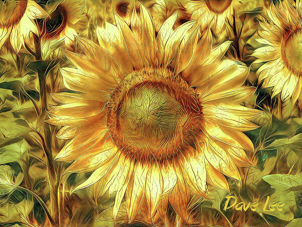 Sunflower Poster featuring the digital art Kissed by the Sun by Dave Lee