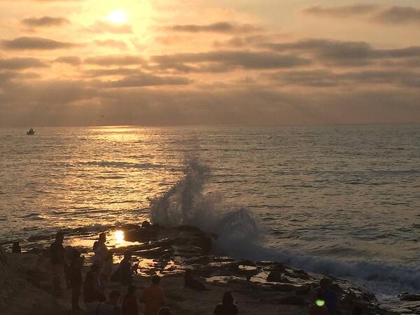 Photography Poster featuring the photograph La Jolla Beach Day by Lisa White