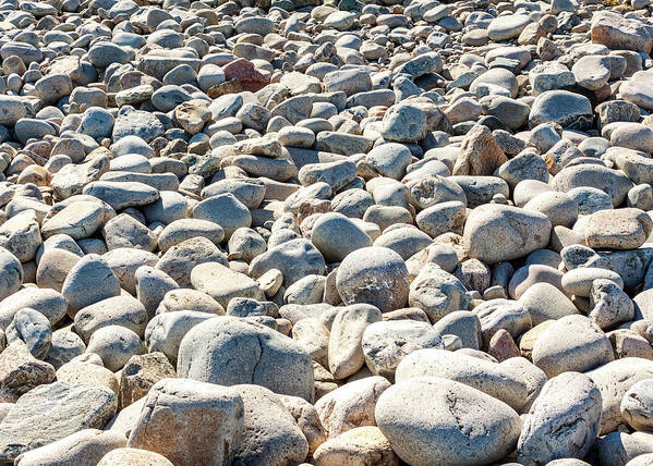 Acadia Poster featuring the photograph Landscape Photography - Boulder Field by Amelia Pearn