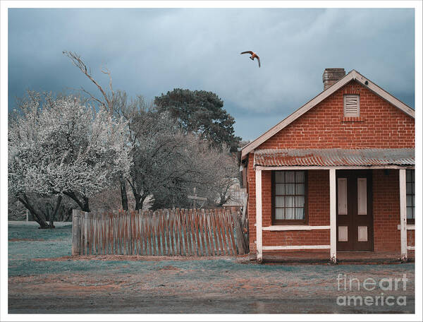 Hail Poster featuring the photograph Light Hail and a Galah 4 by Russell Brown