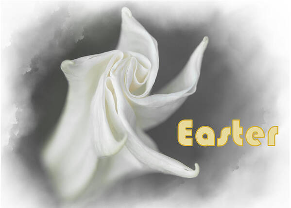 Easter Poster featuring the mixed media Lily by Moira Law