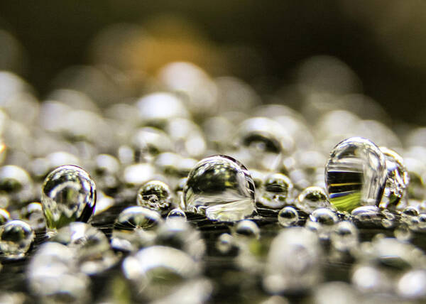 Dew Poster featuring the photograph Macro Photography - Dew Drops by Amelia Pearn