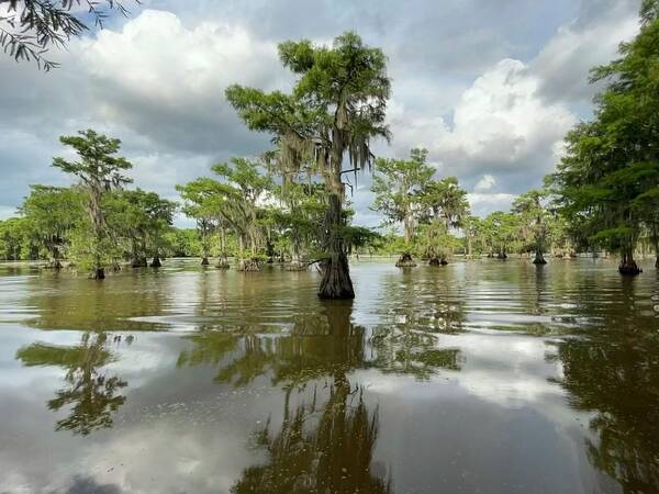 Lake Poster featuring the photograph Magical Swamp Reflections by Tanya White