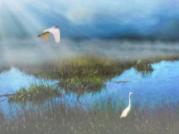 Swamp Poster featuring the photograph Marsh Mist Cumberland Island, Georgia by Marjorie Whitley