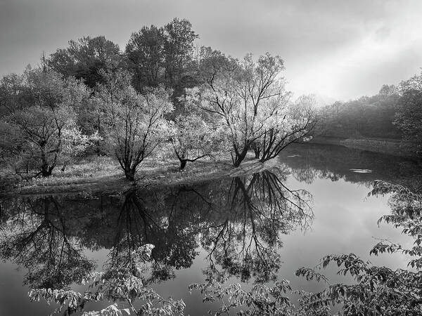 Black Poster featuring the photograph Morning Reflections on the River Black and White by Debra and Dave Vanderlaan