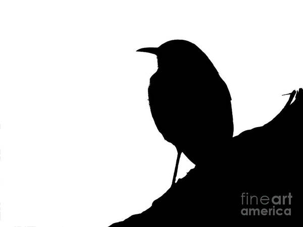 Silhouette Poster featuring the photograph Mountainside Bird Silhouette by Beth Myer Photography