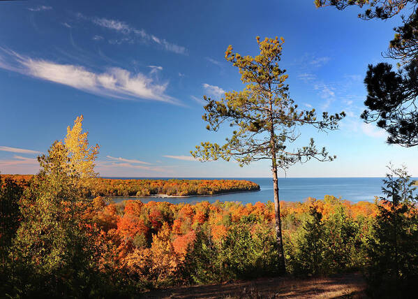 Fall Poster featuring the photograph Nicolet Bay Fall View 2 by David T Wilkinson