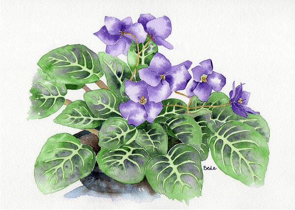 Africanviolet Purple Flower Green Watercolor Poster featuring the painting Oh Yeah by Catherine Bede