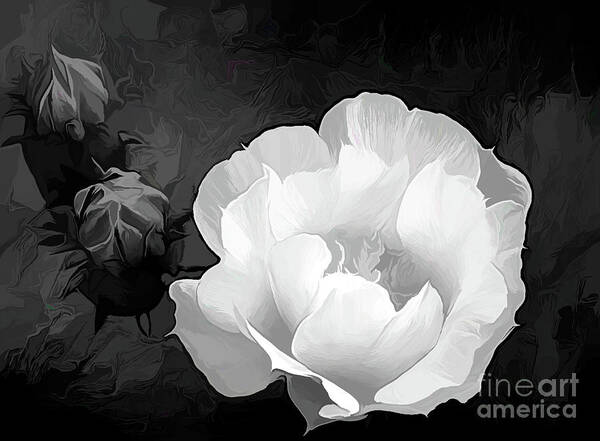 Prickly Pear Poster featuring the photograph Opuntia Flower in Acrylic BW by Diana Mary Sharpton