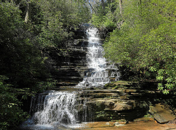 Waterfall Poster featuring the photograph Panther Falls - Georgia by Richard Krebs