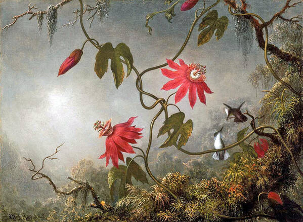 Passion Poster featuring the digital art Passion Flowers and Hummingbirds by Long Shot