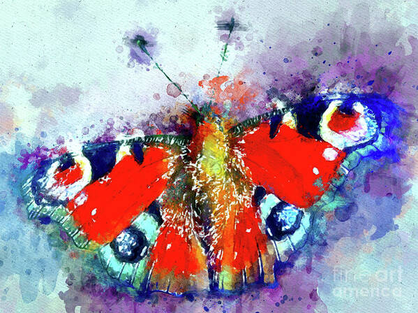 Peacock Butterfly Poster featuring the mixed media Peacock Butterfly by Daniel Janda