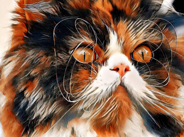 Persian Cat Poster featuring the digital art Persian cat with long whiskers close-up - white, black and brown digital painting by Nicko Prints