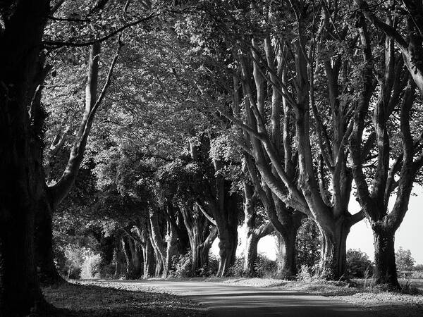 Background Poster featuring the photograph Picturesque Cotswolds-Country lane by Seeables Visual Arts