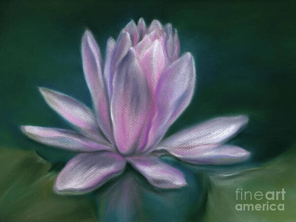 Botanical Poster featuring the painting Pink Water Lily Flower on a Pond by MM Anderson