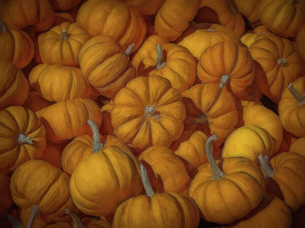 Pumpkins Poster featuring the photograph Pumpkins Galore by Sylvia Goldkranz