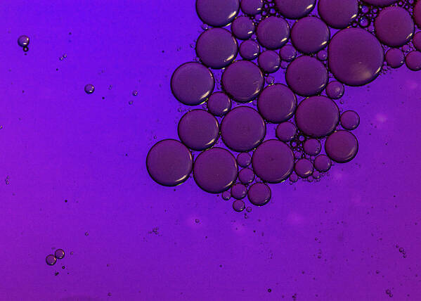 Purple Poster featuring the photograph Purple Bubble Abstract by Amelia Pearn