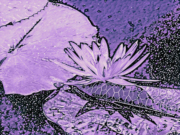 Spa Poster featuring the digital art Purple Water Lily Abstract by Marianne Campolongo