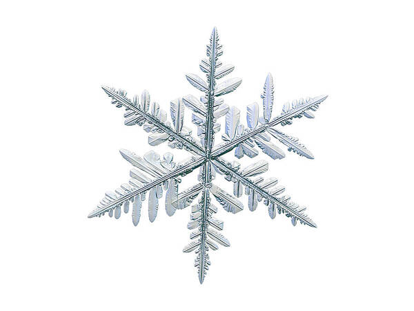 Snowflake Poster featuring the photograph Real snowflake 2018-12-18_4w by Alexey Kljatov