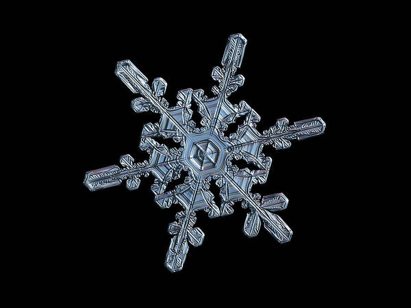 Snowflake Poster featuring the photograph Real snowflake 2021-01-14_4416-25b by Alexey Kljatov