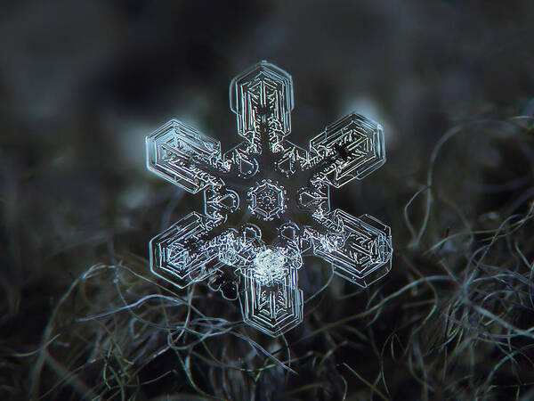 Snowflake Poster featuring the photograph Real snowflake - Alioth new by Alexey Kljatov