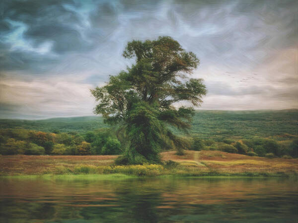Tree Poster featuring the photograph Resplendent Tree by Carol Whaley Addassi