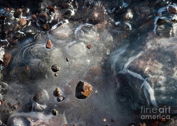 #rocks #pebbles #ice #black #white #brown #blue #gray #frozen #northshore Poster featuring the photograph Rocks in Ice by Mark Triplett