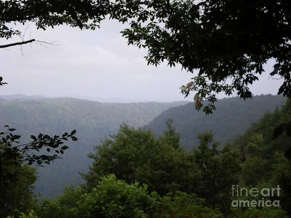 Forest Photography Poster featuring the photograph Rolling Hills of West Virginia by Expressions By Stephanie