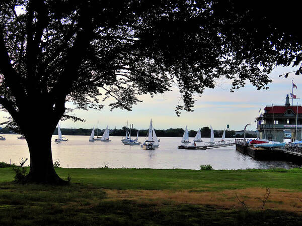 Sailboats Poster featuring the photograph Sailboat Races from Riverton Yacht Club by Linda Stern