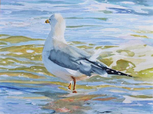 Seagull Poster featuring the painting Seagull Wading by Patty Kay Hall