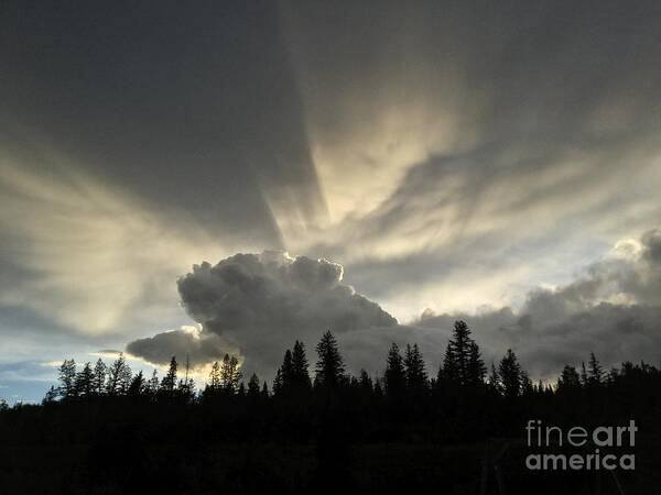 Chilcotin Plateau Poster featuring the photograph Sky light by Nicola Finch