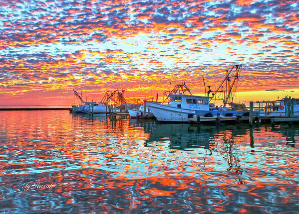 Sunrise Poster featuring the photograph Speckled Sunrise by Ty Husak