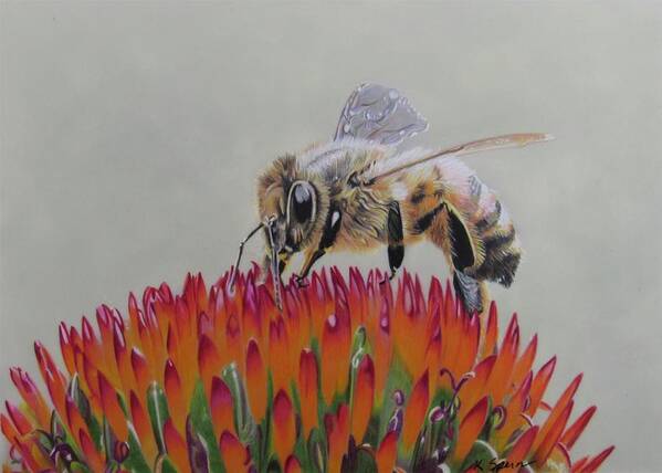 Bee Poster featuring the drawing Spiked Softness by Kelly Speros